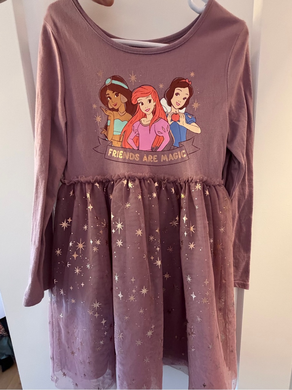Disney Mauve Princess Graphic Tulle Dress